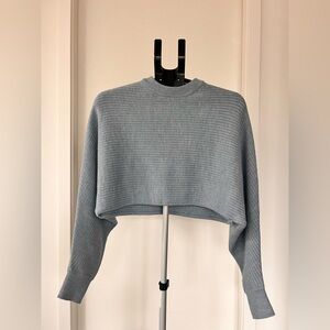 Wilfred Blue/Grey Knit Sweater